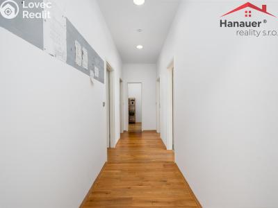 Prodej bytu 3+KK Ústí nad Labem, Karla IV. č. 18