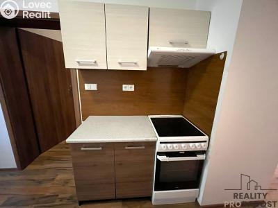 Аренда квартиры 1+1 Znojmo, Havlíčkova č. 7