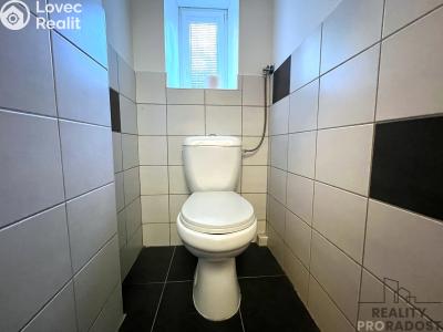 Аренда квартиры 1+1 Znojmo, Havlíčkova č. 10