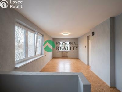 Продажа квартиры 3+KK Dolní Chvatliny č. 4