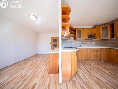 Продаж квартири 4+KK Pardubice, K Polabinám č. 18