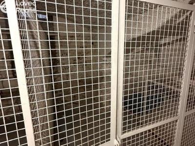 Аренда квартиры 2+KK Praha, Kotevní č. 8
