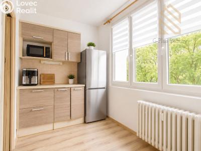 Prodej bytu 2+1 Ústí nad Labem, Pincova č. 1