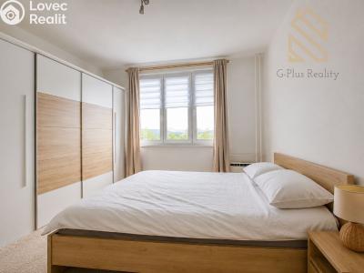 Prodej bytu 2+1 Ústí nad Labem, Pincova č. 5