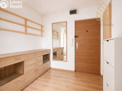 Prodej bytu 2+1 Ústí nad Labem, Pincova č. 11