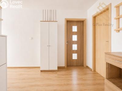 Prodej bytu 2+1 Ústí nad Labem, Pincova č. 12