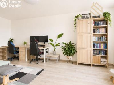 Prodej bytu 2+1 Ústí nad Labem, Tolstého č. 11