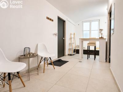 Rent commercial space Opava, Popská č. 1