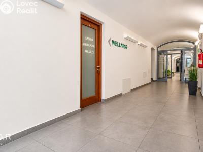 Rent commercial space Opava, Popská č. 7