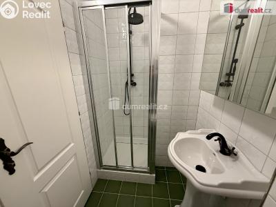 Аренда квартиры 2+KK Mariánské Lázně, Palackého č. 93