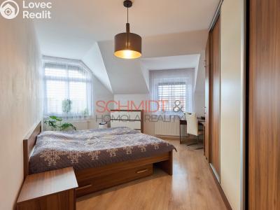 Продаж квартири 3+KK Hustopeče, U Větrolamu č. 6