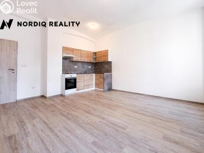 Rent apartment 2+KK Teplice, Emilie Dvořákové č. 2