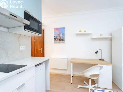Аренда квартиры 1+KK Praha, Čerčanská č. 6