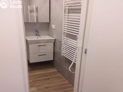Rent apartment 2+1 Karlovy Vary, Moskevská č. 2