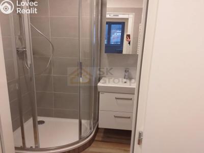 Rent apartment 2+1 Karlovy Vary, Moskevská č. 3
