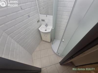 Аренда квартиры 1+KK Praha, Michelská č. 11