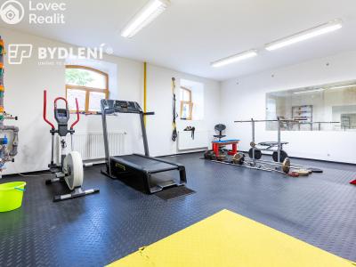 Prodej bytu 4+KK Ústí nad Labem, Karla IV. č. 20