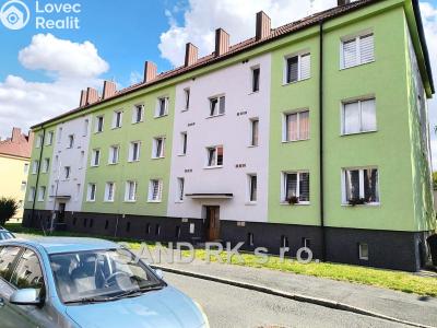 Pronájem bytu 2+1 Domažlice, Dvořákova 457 č. 20