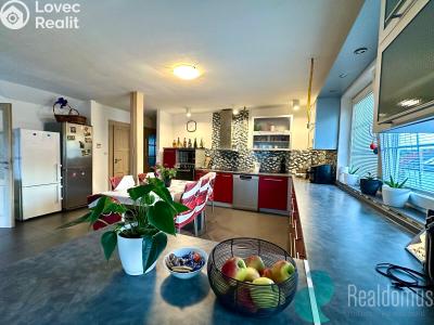 Rent family house Homole, K Lesu č. 1