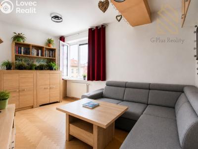 Prodej bytu 2+1 Litoměřice, Tylova č. 7