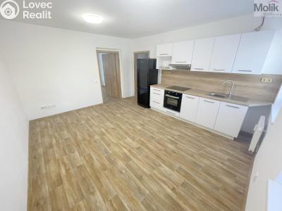 Аренда квартиры 2+KK Most, Hollarova č. 2