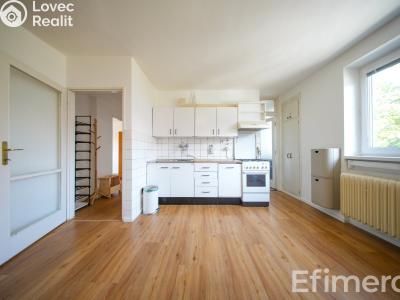 Аренда квартиры 3+KK Blansko, Údolní č. 6