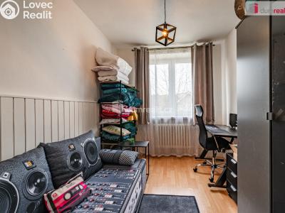 Prodej rodinného domu Cheb, Javorová č. 17