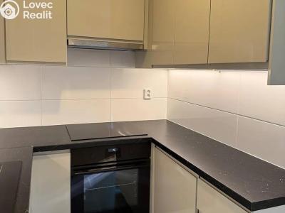 Аренда квартиры 2+1 Praha, U silnice č. 10