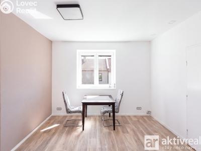 Prodej rodinného domu Větrušice, Severní č. 8