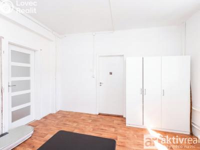 Prodej rodinného domu Větrušice, Severní č. 10