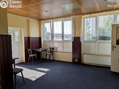 Prodej komerční nemovitosti Litvínov, Alešova 946 č. 13