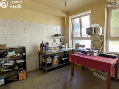 Prodej komerční nemovitosti Litvínov, Alešova 946 č. 16