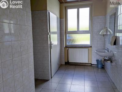 Prodej komerční nemovitosti Litvínov, Alešova 946 č. 17