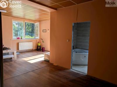 Prodej komerční nemovitosti Litvínov, Alešova 946 č. 24