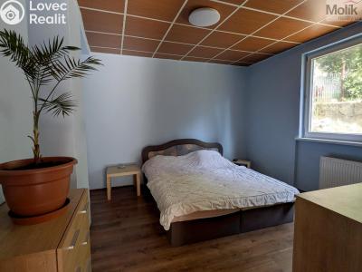 Prodej komerční nemovitosti Litvínov, Alešova 946 č. 28
