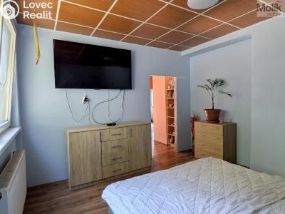 Prodej komerční nemovitosti Litvínov, Alešova 946 č. 30