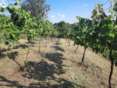 Prodej rodinného domu Velké Žernoseky č. 22