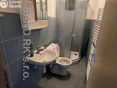 Rent apartment 1+KK Staňkov, Družstevní 61 č. 1