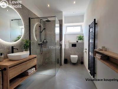 Продаж квартири 1+1 Kolín, Havlíčkova č. 10