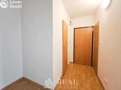 Prodej bytu 1+1 Jirkov, Generála Svobody 1710 č. 10