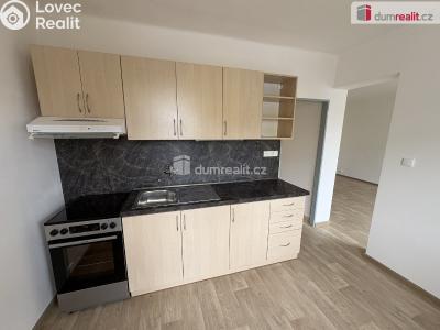 Rent apartment 3+1 Milín, U stadionu č. 3