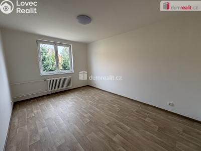 Rent apartment 3+1 Milín, U stadionu č. 4