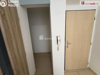 Rent apartment 3+1 Milín, U stadionu č. 5