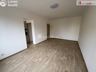 Rent apartment 3+1 Milín, U stadionu č. 10