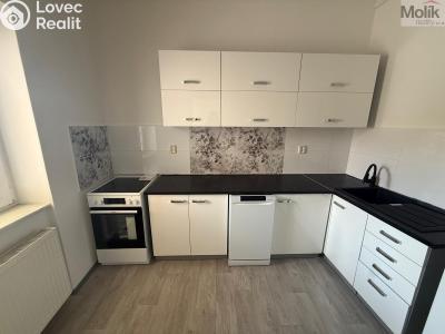 Аренда квартиры 3+1 Chomutov, Školní č. 1