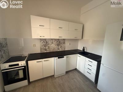 Аренда квартиры 3+1 Chomutov, Školní č. 2