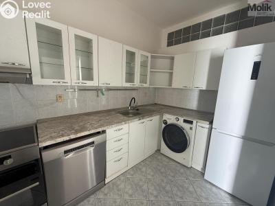 Аренда квартиры 3+1 Chomutov, Školní č. 3