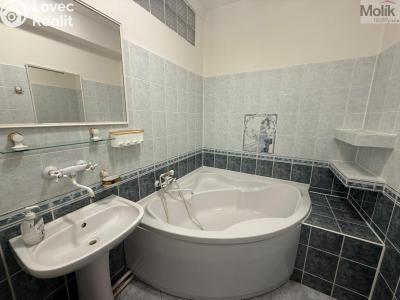 Аренда квартиры 3+1 Chomutov, Školní č. 10