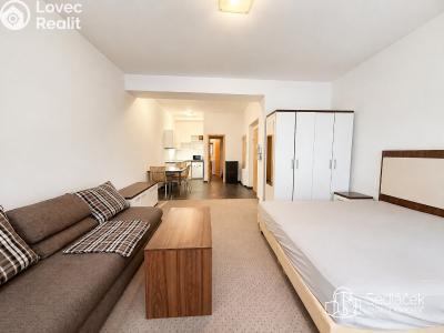 Аренда квартиры 1+KK Karlovy Vary, Divadelní č. 1