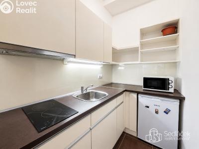 Аренда квартиры 1+KK Karlovy Vary, Divadelní č. 2